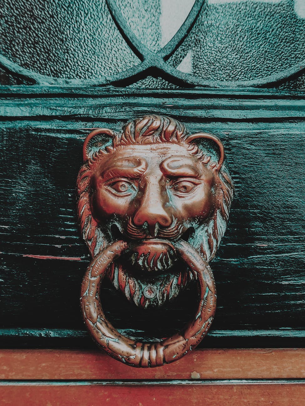 bronze lion on decorated wooden door