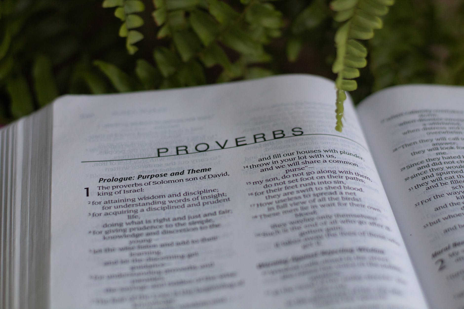 close up shot of book of proverbs
