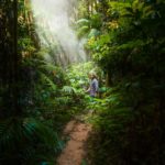 photo of man standing in forest