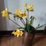 Thumbnail of post image 070